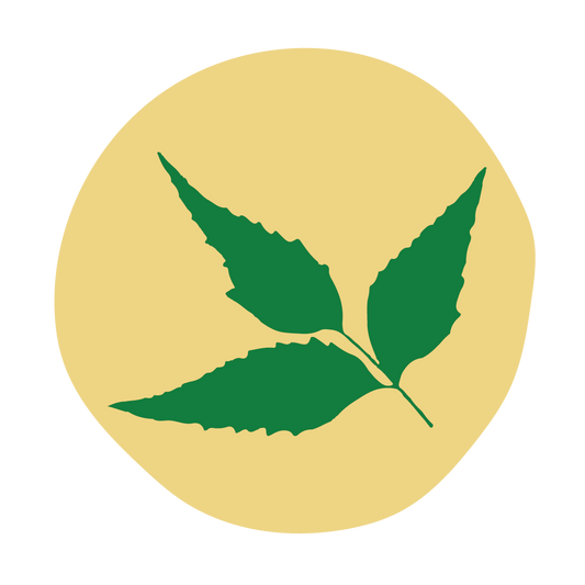  Neem 