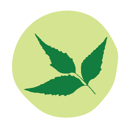  Neem 